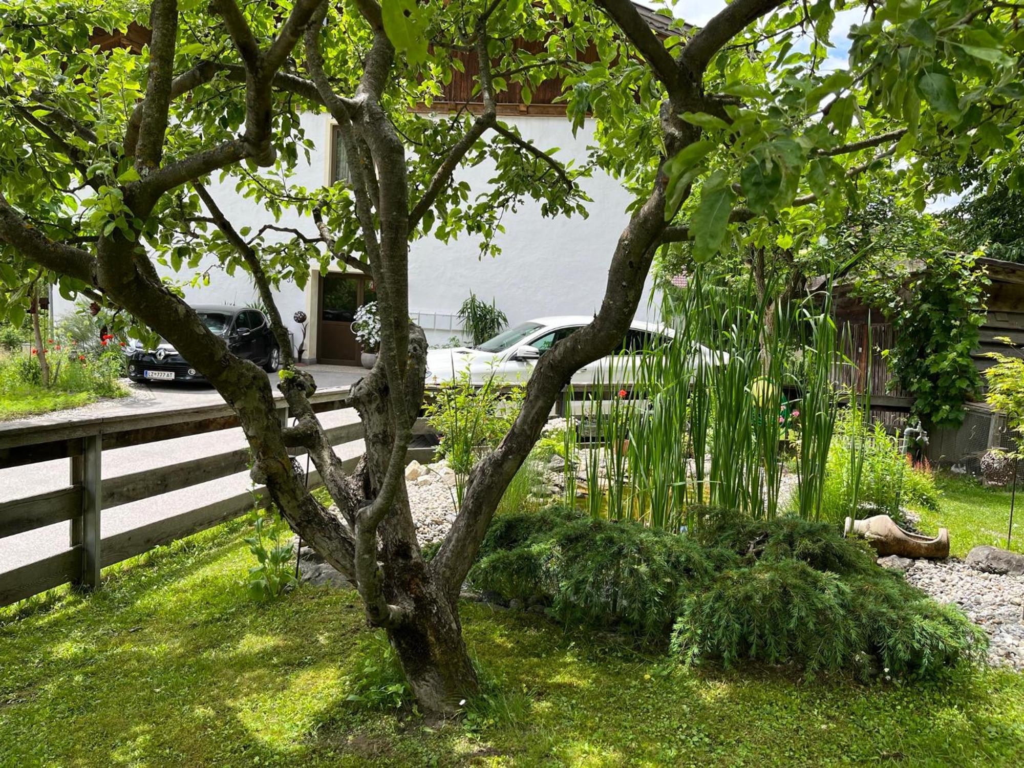 Bergmanns Ferienapartment Debant المظهر الخارجي الصورة